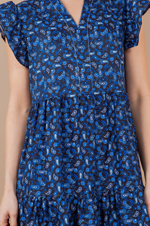 Paisley Printed Ruffled Sleeve V-Neck Dress